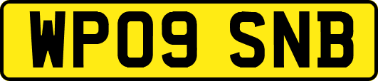 WP09SNB