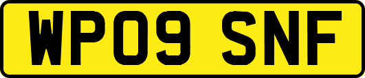 WP09SNF