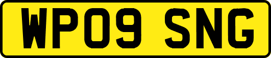 WP09SNG