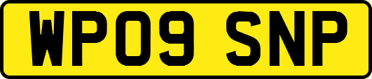 WP09SNP
