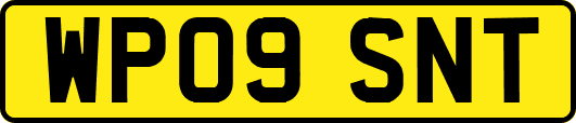 WP09SNT