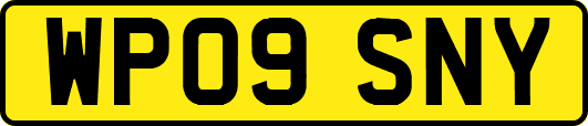 WP09SNY