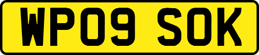 WP09SOK