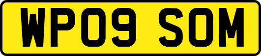 WP09SOM