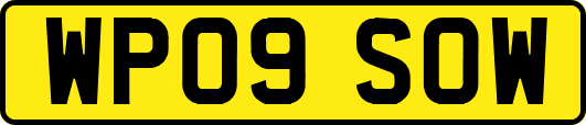 WP09SOW
