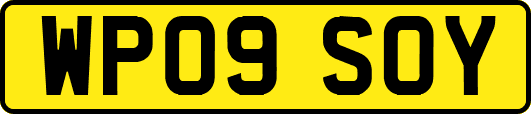 WP09SOY