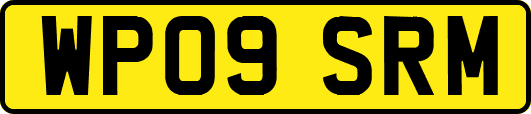 WP09SRM