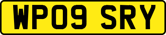 WP09SRY