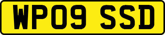 WP09SSD