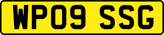 WP09SSG