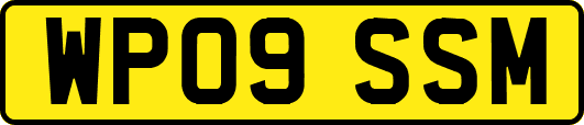 WP09SSM