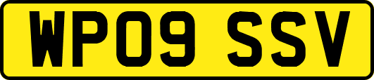 WP09SSV
