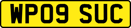 WP09SUC
