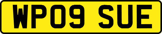 WP09SUE