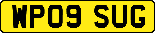 WP09SUG