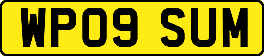 WP09SUM
