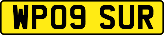WP09SUR