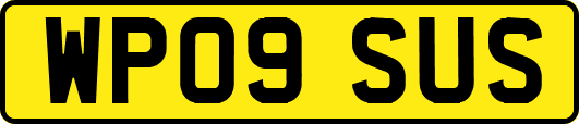 WP09SUS