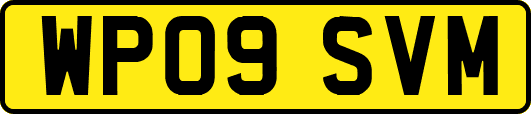 WP09SVM