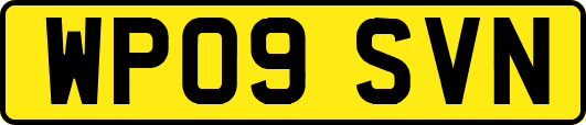 WP09SVN