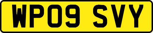 WP09SVY