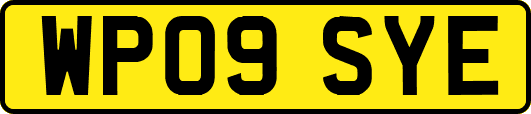 WP09SYE