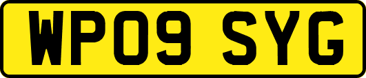 WP09SYG