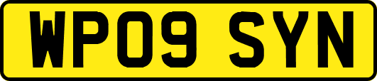 WP09SYN