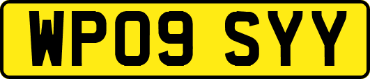 WP09SYY