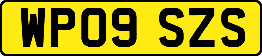 WP09SZS