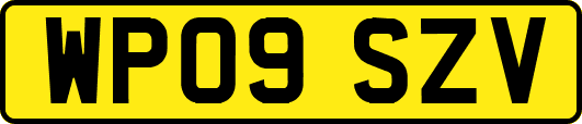 WP09SZV