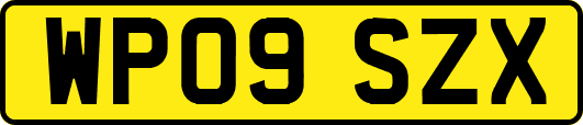 WP09SZX