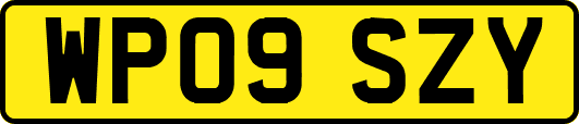 WP09SZY