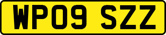 WP09SZZ