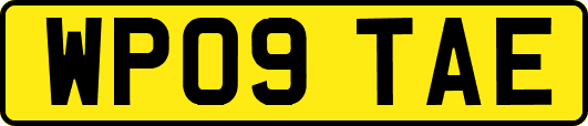 WP09TAE
