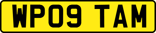 WP09TAM