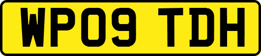 WP09TDH