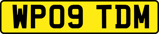 WP09TDM