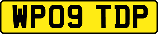 WP09TDP