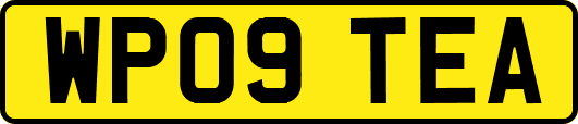 WP09TEA