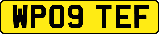 WP09TEF