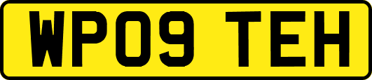 WP09TEH