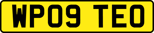 WP09TEO