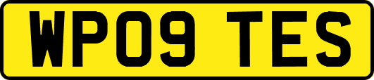 WP09TES