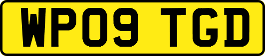 WP09TGD