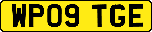 WP09TGE