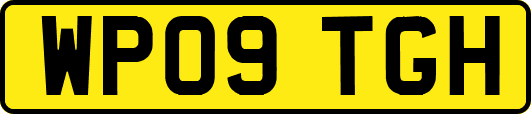 WP09TGH