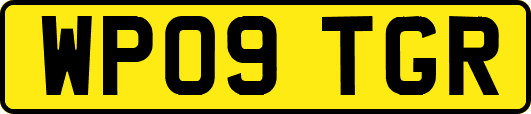 WP09TGR