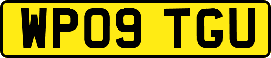 WP09TGU