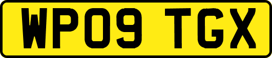 WP09TGX
